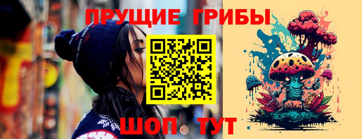 Прохладный  Псилоцибиновые грибы прущие грибы  Вход с VPN 