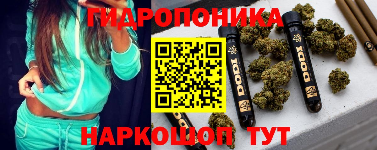 Бошки марихуана THC 21% Прохладный